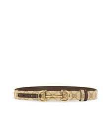 [Gucci] Belt FW26 A001V4FAF7J9651