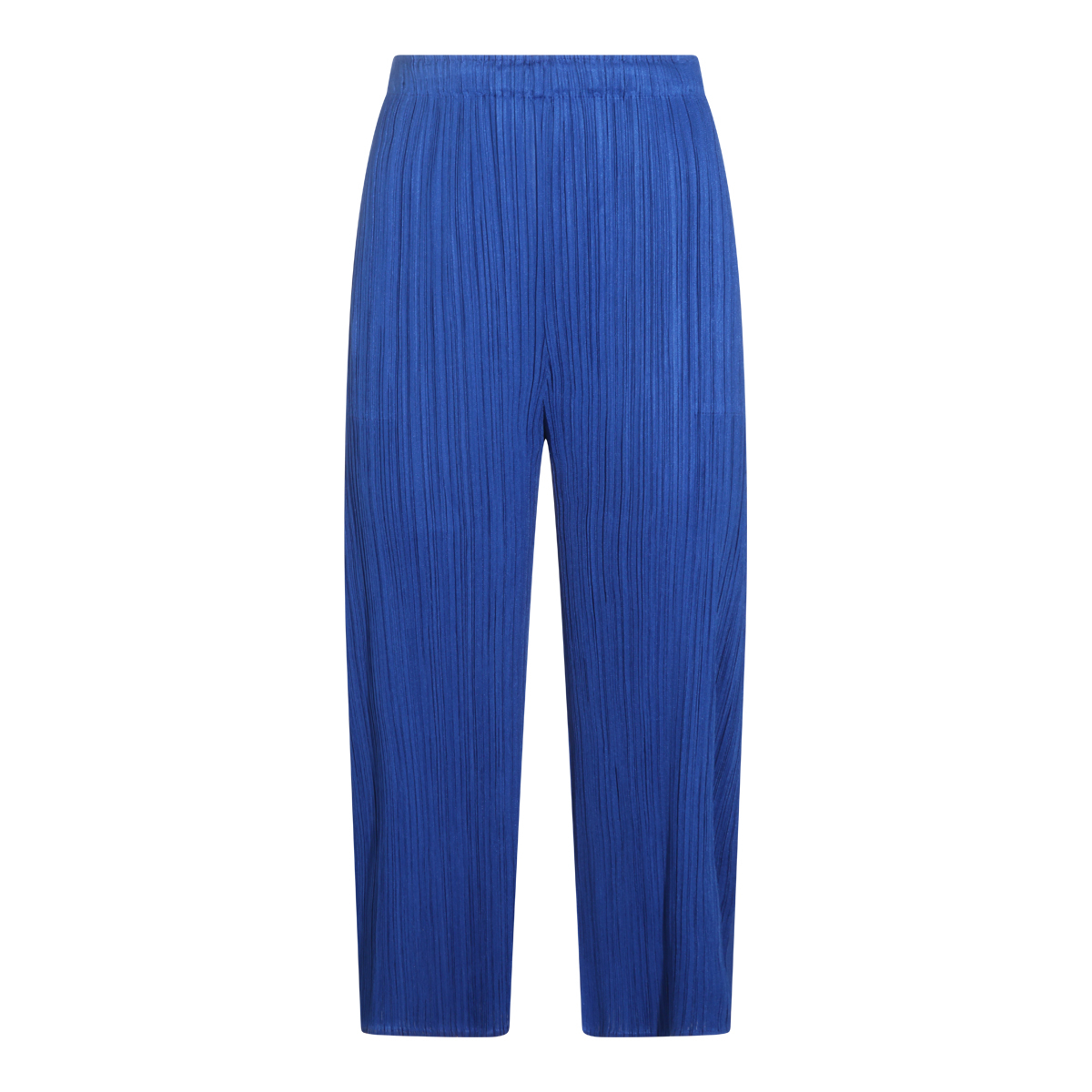 [Issey Miyake] Pants FW26 PP68JF11572