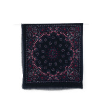 [Sgombero Cantine] Scarf FW26 1536 BIS LEONE  4