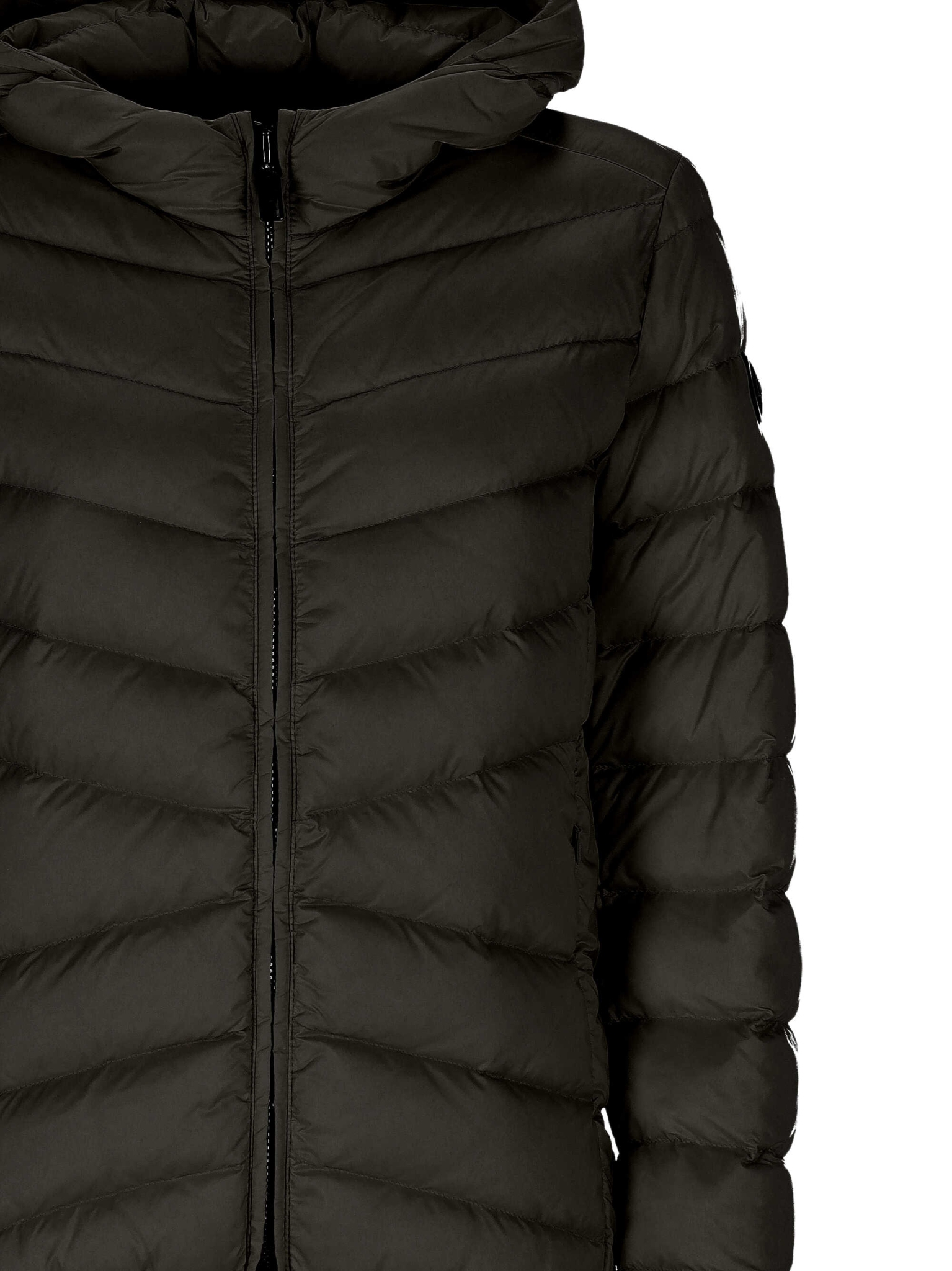 [colmar] Down jacket FW26 220000192YO99