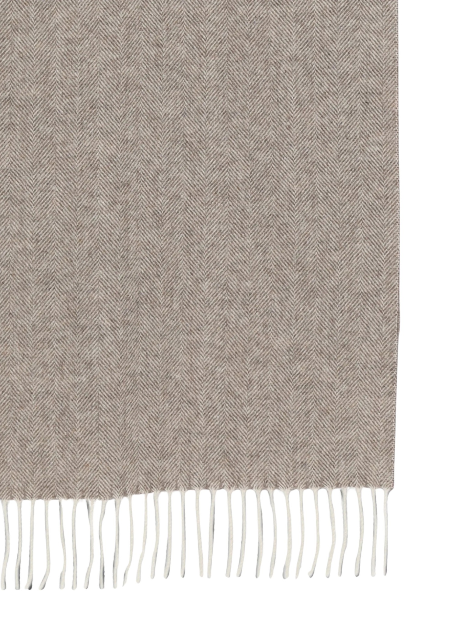 [Gran Sasso] Scarf FW26 93104 91304