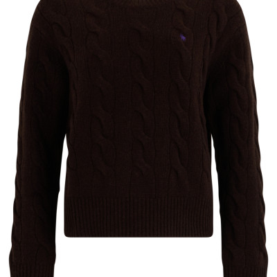 [Polo Ralph Lauren] Knitwear FW26 211A91216_017