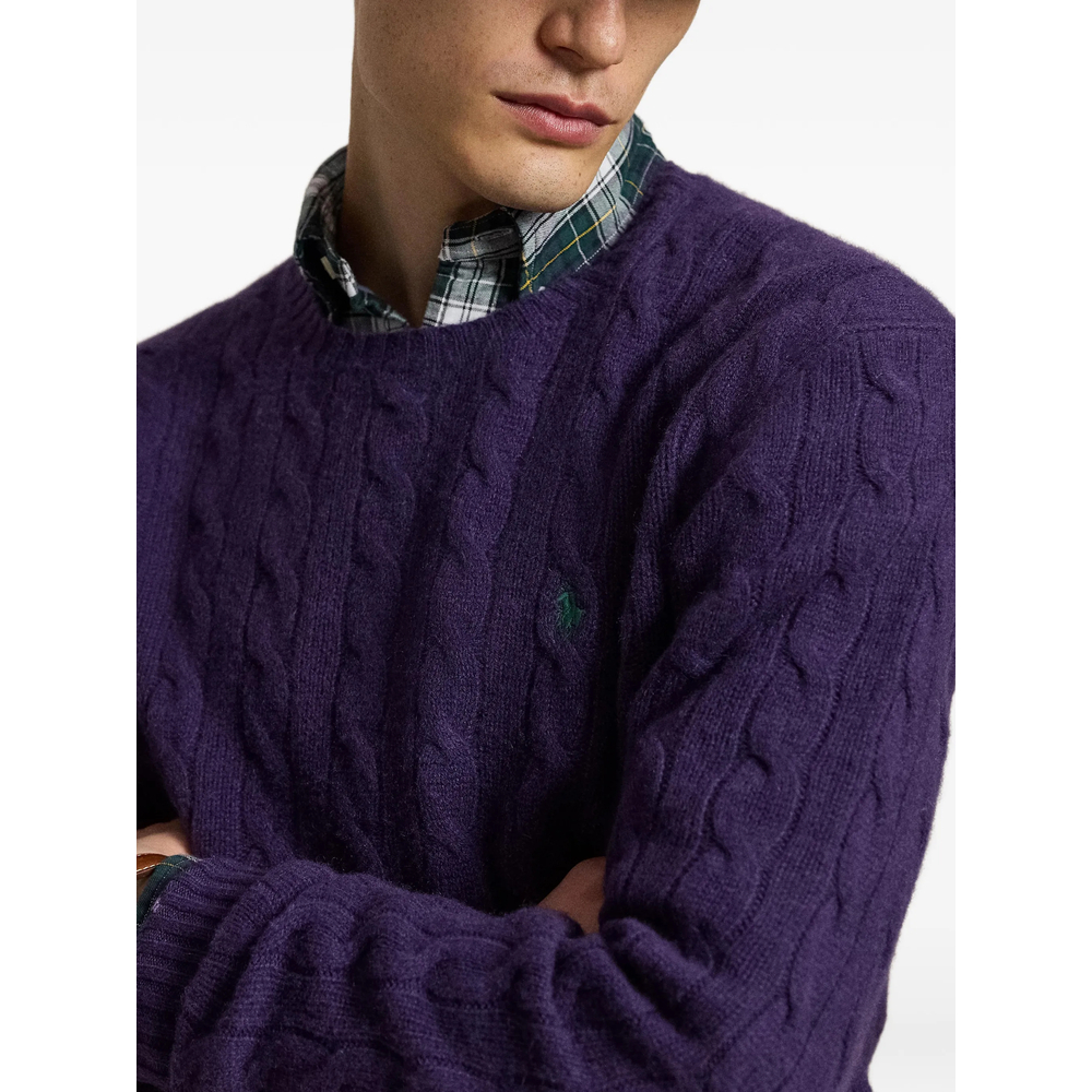 [Ralph Lauren] Sweatshirt FW26 710876762505  PURPL