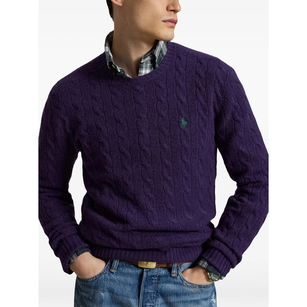 [Ralph Lauren] Sweatshirt FW26 710876762505  PURPL