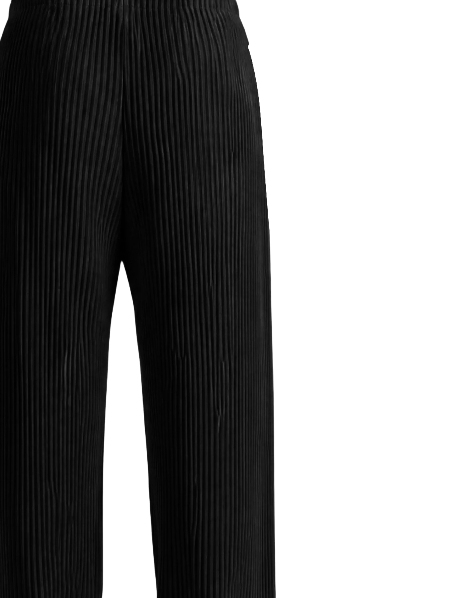 [Issey Miyake] Trousers FW26 HP68JF07415