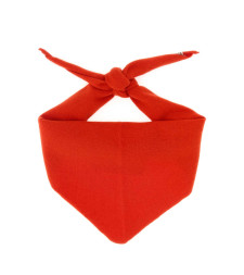 [Extreme Cashmere] Scarf FW26 03500801TU10 TOMATO