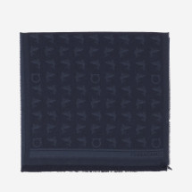 [Salvatore Ferragamo] Scarf FW26 520184004