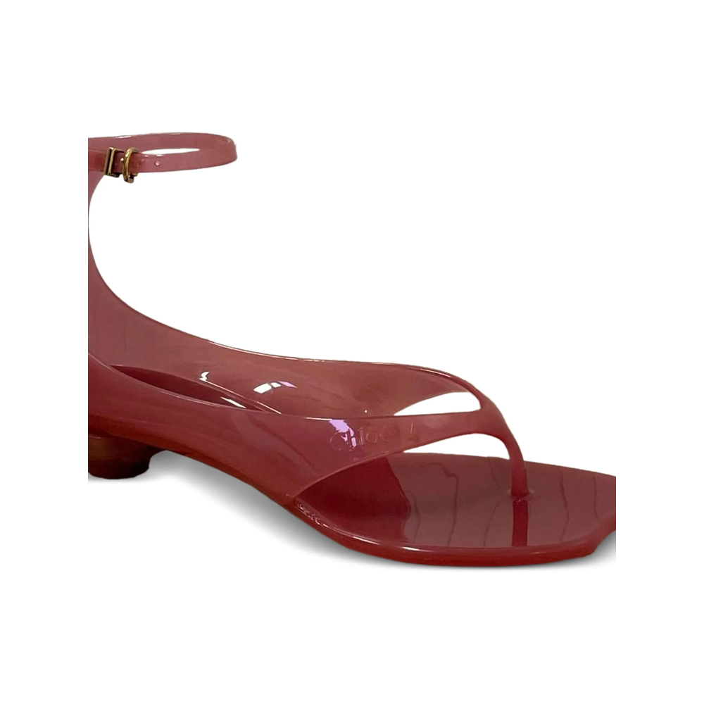 [Chloe] Sandals FW26 C25U09VRQ  6L9