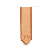 [ELISABETTA FRANCHI] Scarf FW26 FO04F66E2 FR3