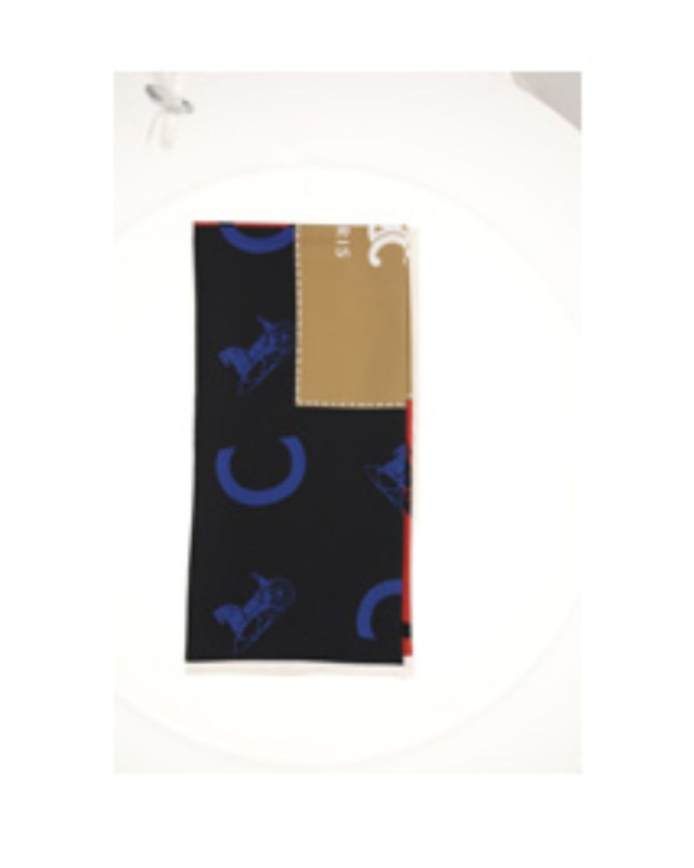 [Celine] Scarf FW26 2AW902R45GGT3